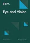 Eye and Vision杂志封面